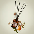Aprikose Reed Diffuser 200ml Barrique Roségold